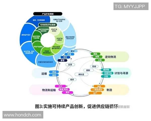 构建智能化物流体系推动供应链高效运转与可持续发展路径探索